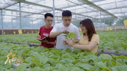 文明根脈源遠(yuǎn)流長 追夢路上同向同行丨大型紀(jì)錄片《征程》