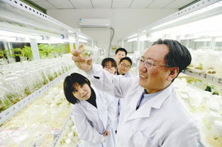 實施 盛京人才 戰略 譜寫人才強市新篇 大遼網 騰訊網