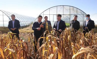 龍頭新聞:黑龍江八一農(nóng)墾大學(xué)與北大荒集團和平牧場校企合作共建