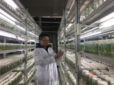 昆明市加速建設(shè)區(qū)域性國際科技創(chuàng)新中心