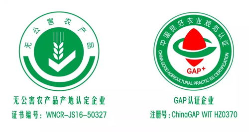 重磅梳理 什么是綠色農(nóng)業(yè) 這一篇有詳解 附現(xiàn)狀及對策研究