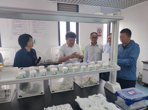 云南省農業科學院官方網站 云南省農科院