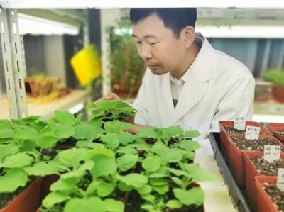 上海13人上榜!首期"新基石研究員"名單公布丨附個(gè)人介紹