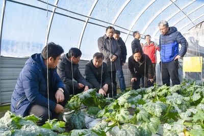 戰(zhàn)風(fēng)沙、斗酷暑,肅州戈壁灘變身“聚寶盆”!~