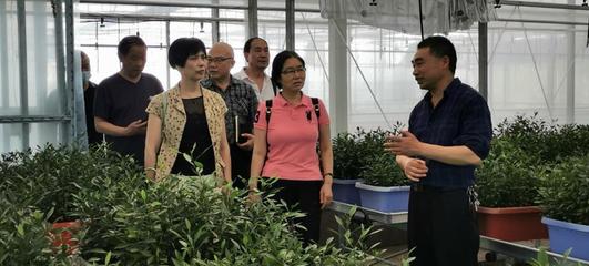 重慶銅梁區(qū)老科協(xié):建立果蔬科研實驗基地助力果苗產業(yè)高質量發(fā)展