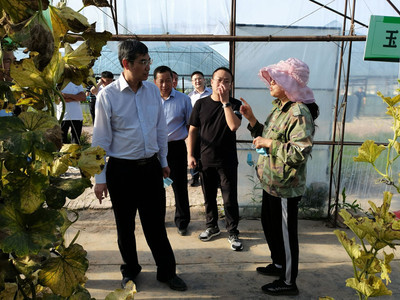 大慶副市長熊敏峰到大同航天育種基地調研指導