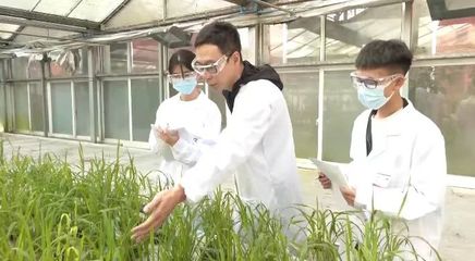 黨的二十大精神在基層|貴州大學這個重點實驗室以科技賦能鄉(xiāng)村振興