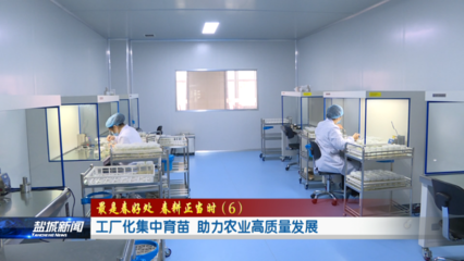 工廠化集中育苗 助力農業(yè)高質量發(fā)展