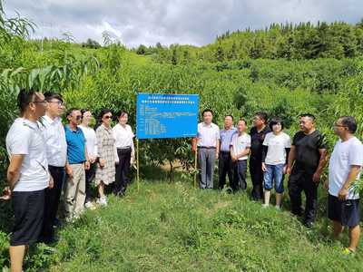 中國(guó)農(nóng)業(yè)科學(xué)院區(qū)劃所研究員、國(guó)家綠肥產(chǎn)業(yè)技術(shù)體系首席科學(xué)家曹衛(wèi)東一行到施秉縣開(kāi)展綠肥產(chǎn)業(yè)發(fā)展調(diào)研