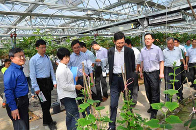 國家農業科技園區調研組到白馬基地考察調研