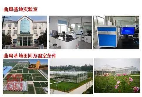 中國農大曲周實驗站入選國家農業科技示范展示基地